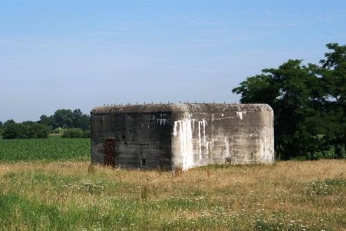KW-Line - Bunker P36