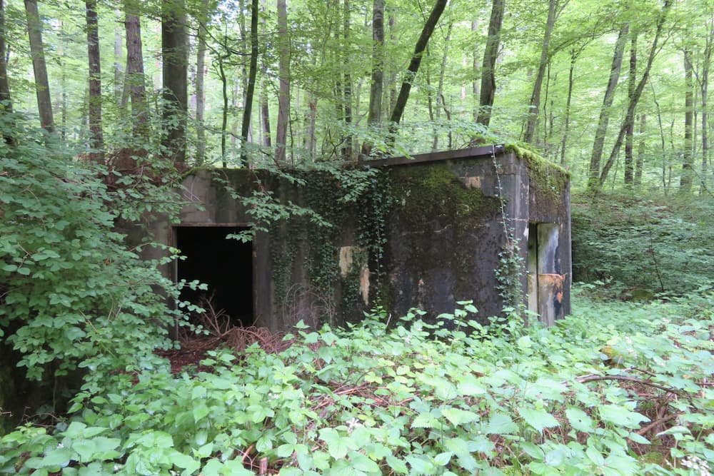 Maginot Line Batterie Breitenhag Gun Emplacement E #4