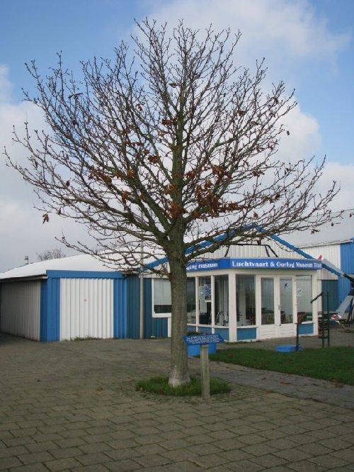 Remembrance Tree Deportation Residents of Texel