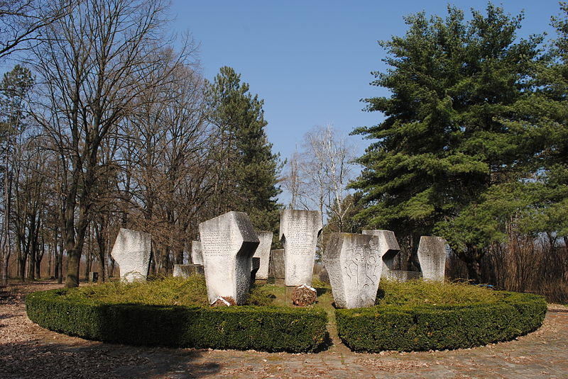 Monument Omgekomen Partizanen Simicev Salas