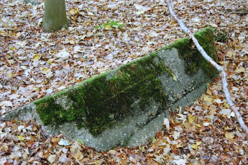 Remains German Bunker Groeneburg Wood