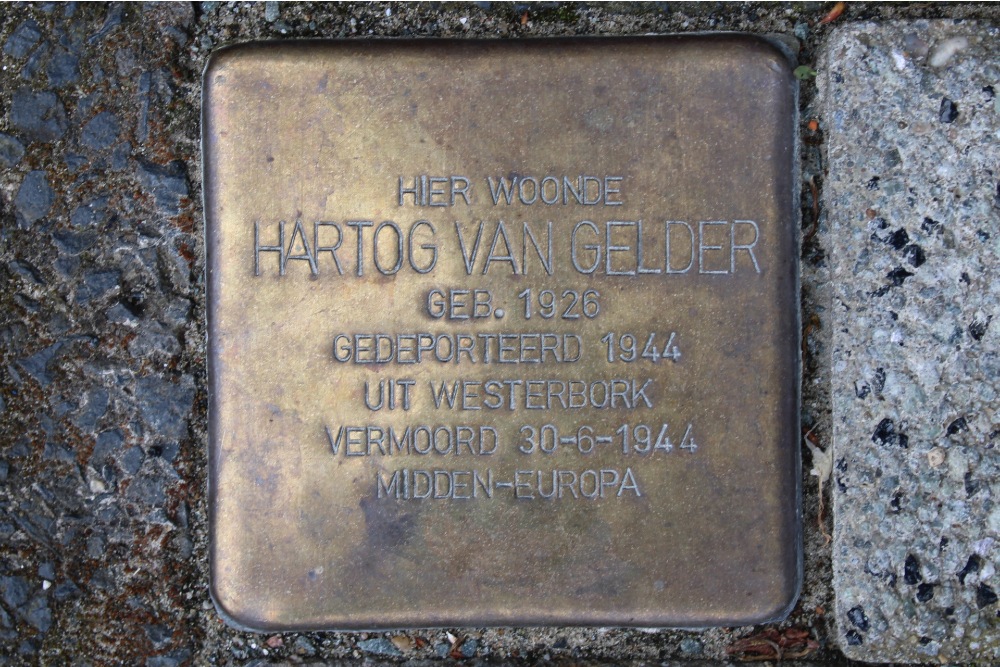 Stolpersteine van Halewijnlaan 107 #2