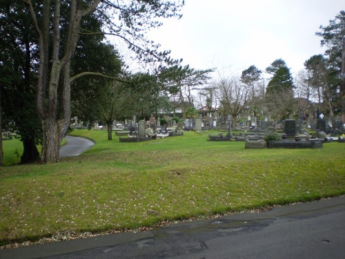 Oorlogsgraven van het Gemenebest Cwmgelly Cemetery