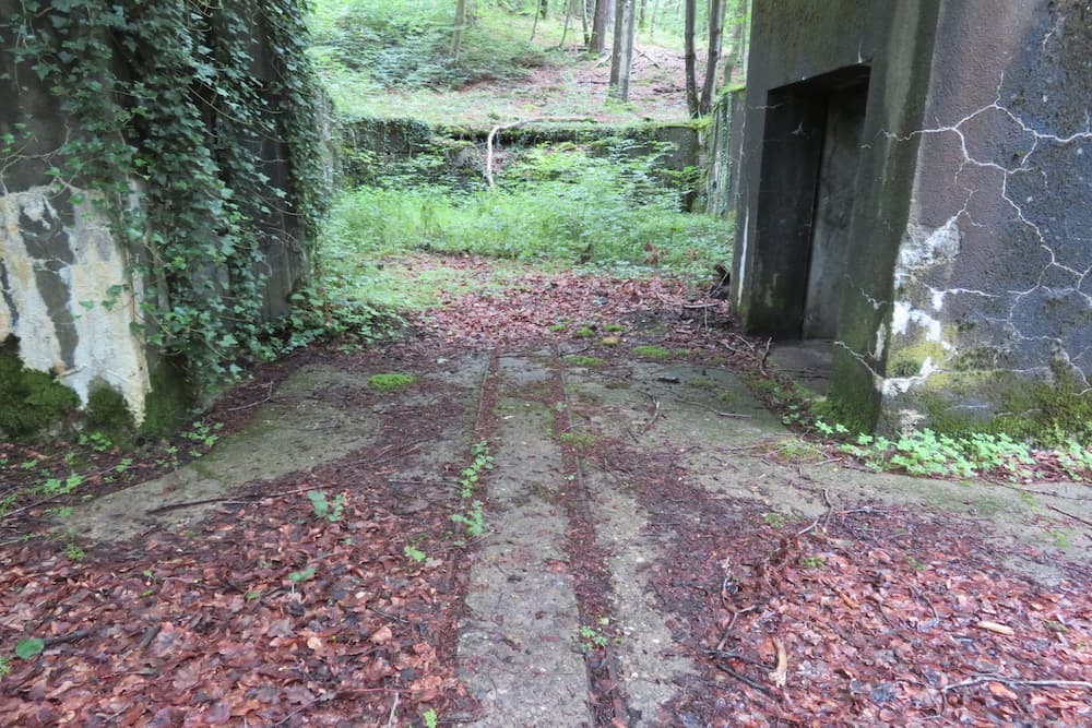 Maginot Line Battery Breitenhag Open Bedding W #2