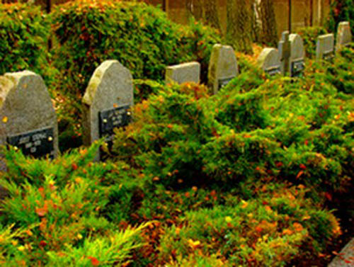 Polish War Graves Belchatow