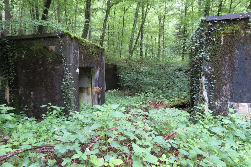 Maginot Line Batterie Breitenhag Gun Emplacement E #1