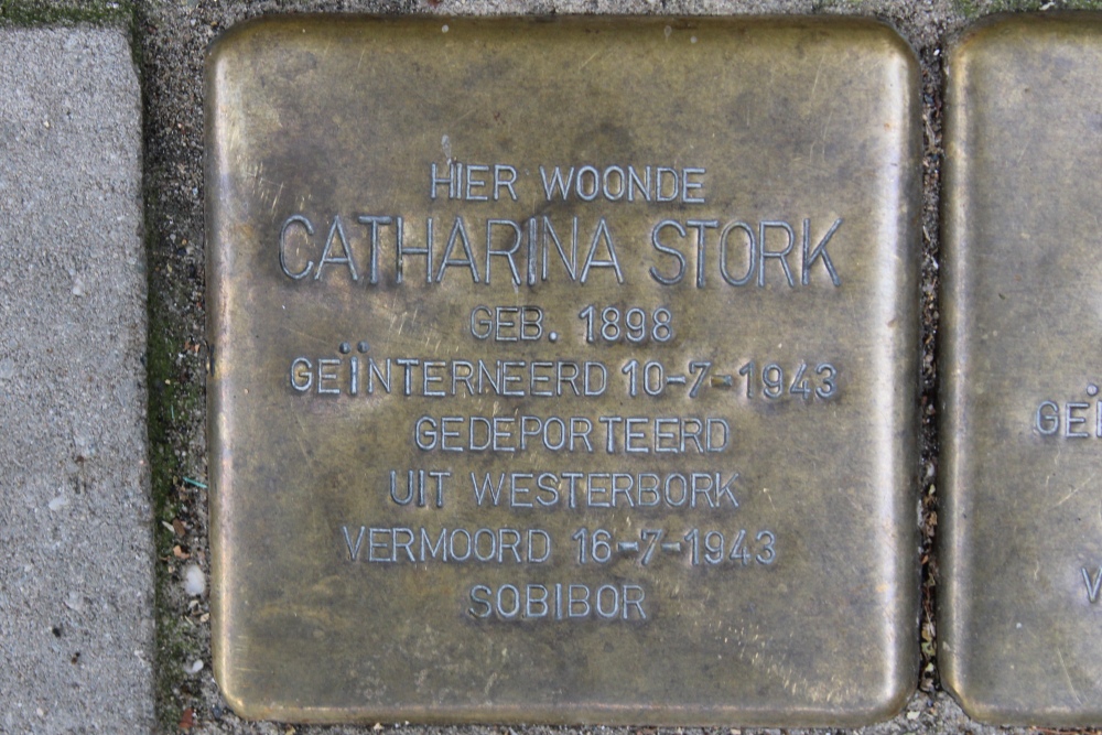 Stolpersteine Blasiusstraat 115 #2