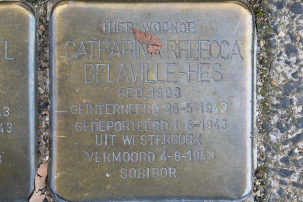 Stolpersteine Plantage Middenlaan 23 #3