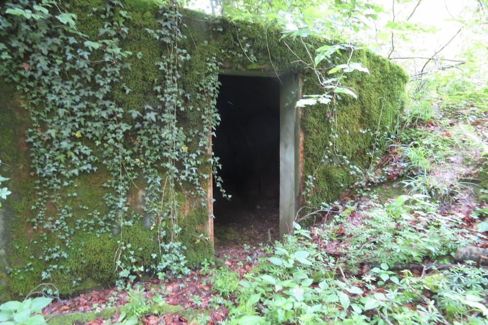 Maginot Line Eichwald Gun Emplacement #5