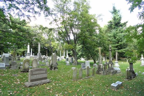 Commonwealth War Grave Cove Haven Cemetery