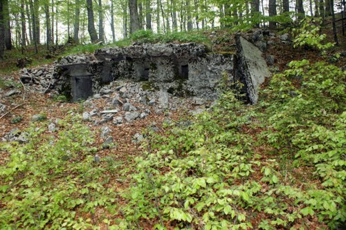 Alpenmuur - MG-bunker Trstenik