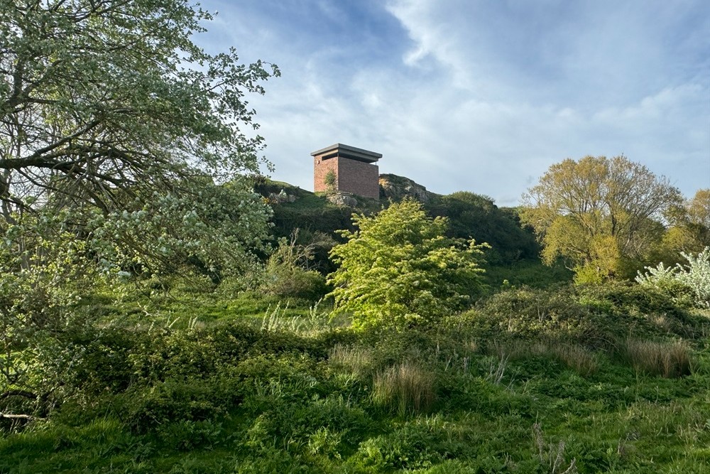 Observation Tower Cliff End #2