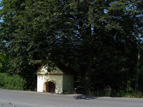 Austrian-Russian War Cemetery No.374