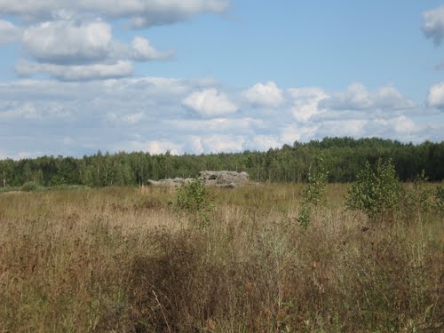 Stalin Line - Remains Casemate