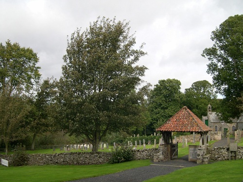 Commonwealth War Graves Fogo Churchyard