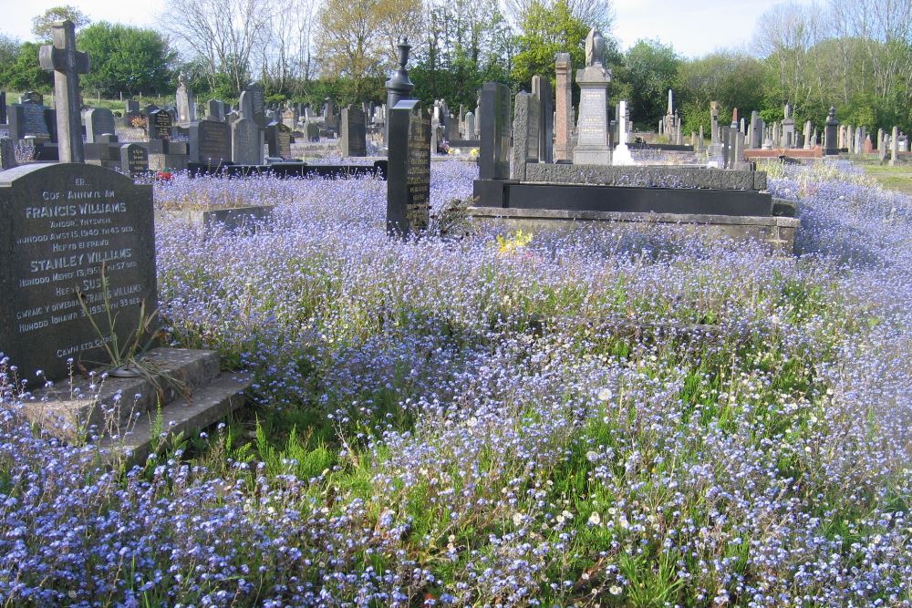 Commonwealth War Graves Adulam Baptist Burial Ground