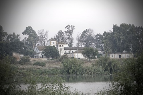 Cortijo Gambogaz y Hacienda San Gonzlez