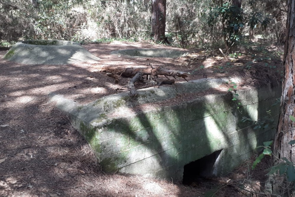 Bunker Remnants Cecina