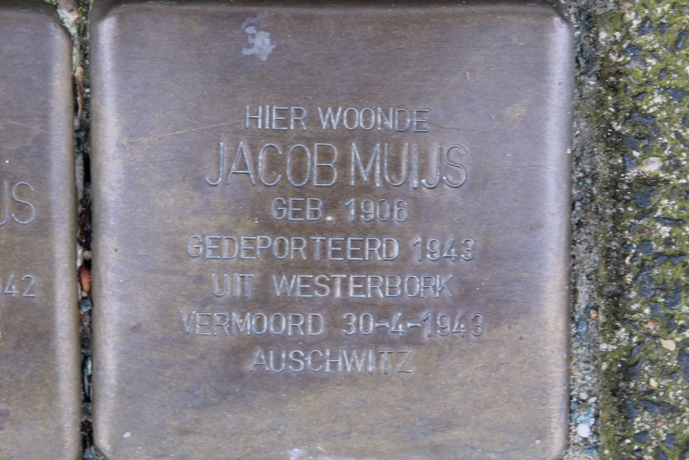 Stolpersteine van Heurnstraat 216 #5