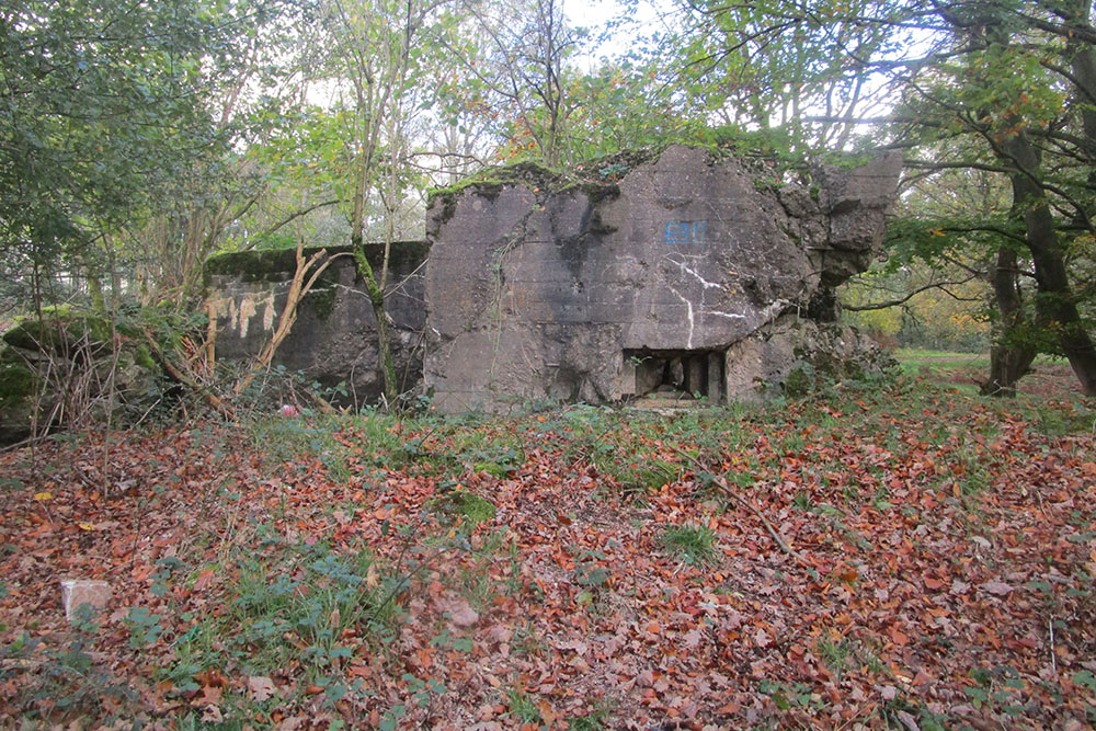 Westwall - Restant Bunker 482 (Regelbau 10 Gruppenunterstand)
