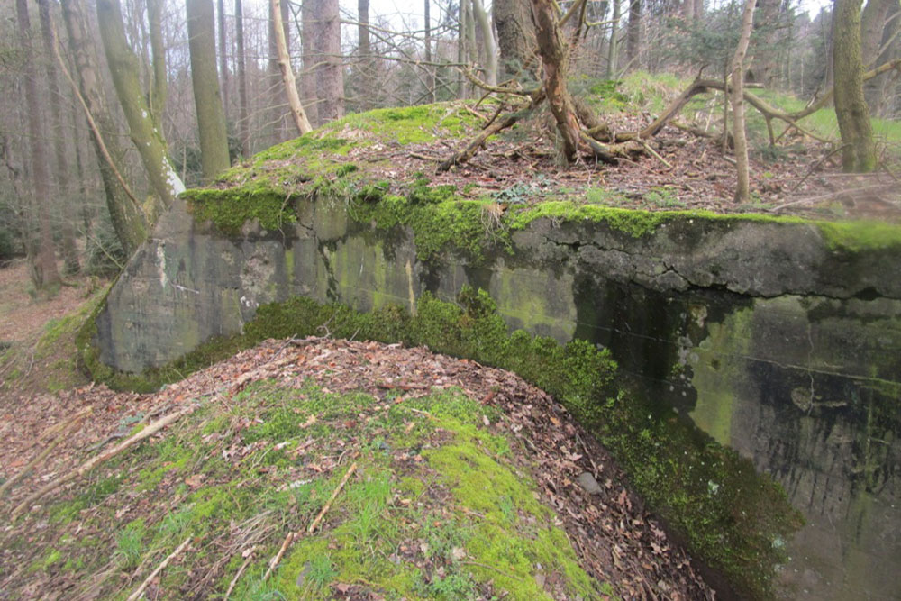 Westwall - Bunker Remains