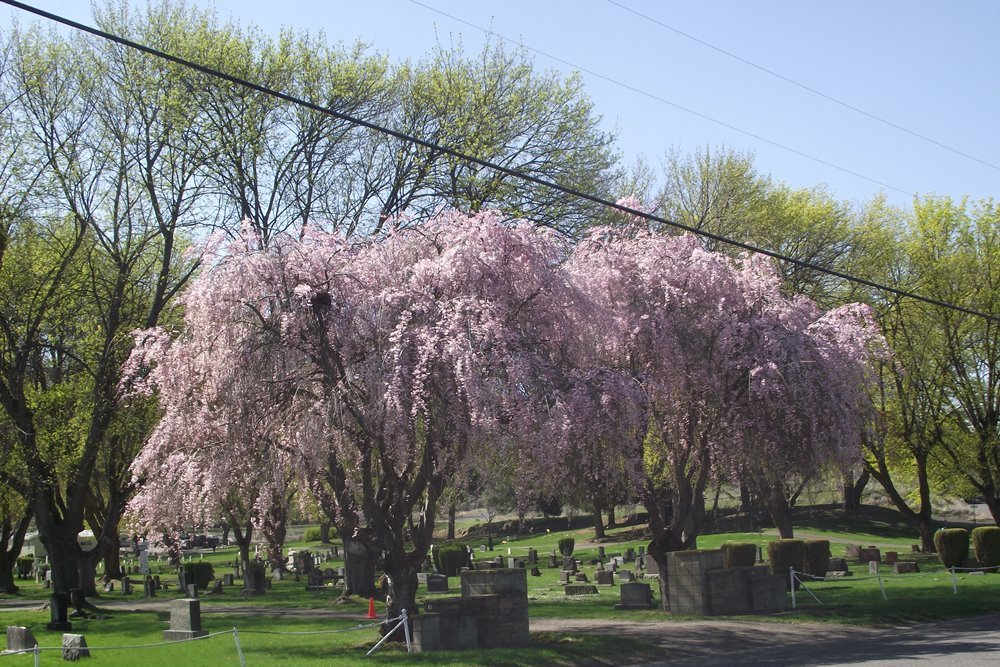 Amerikaanse Oorlogsgraven Prosser Cemetery