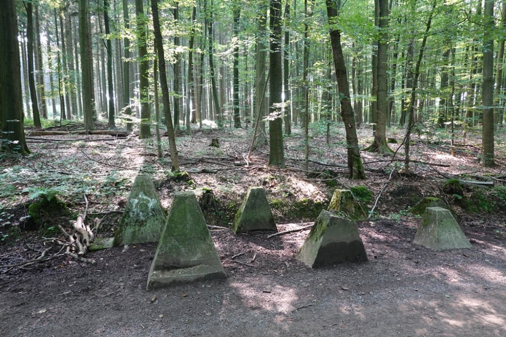 Westwall - Tank Barrier Preuswald #4