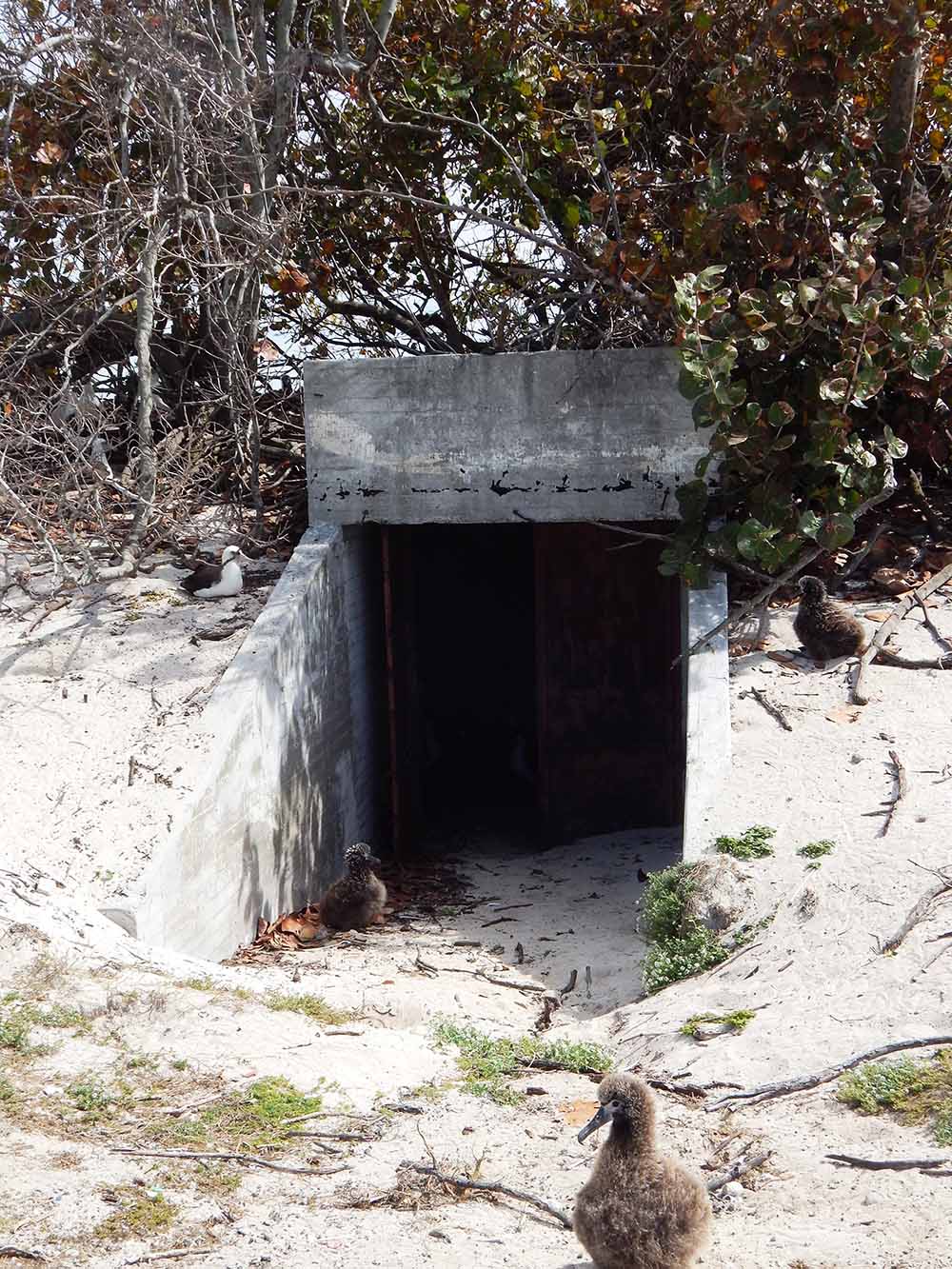 Ondergrondse Bunker
