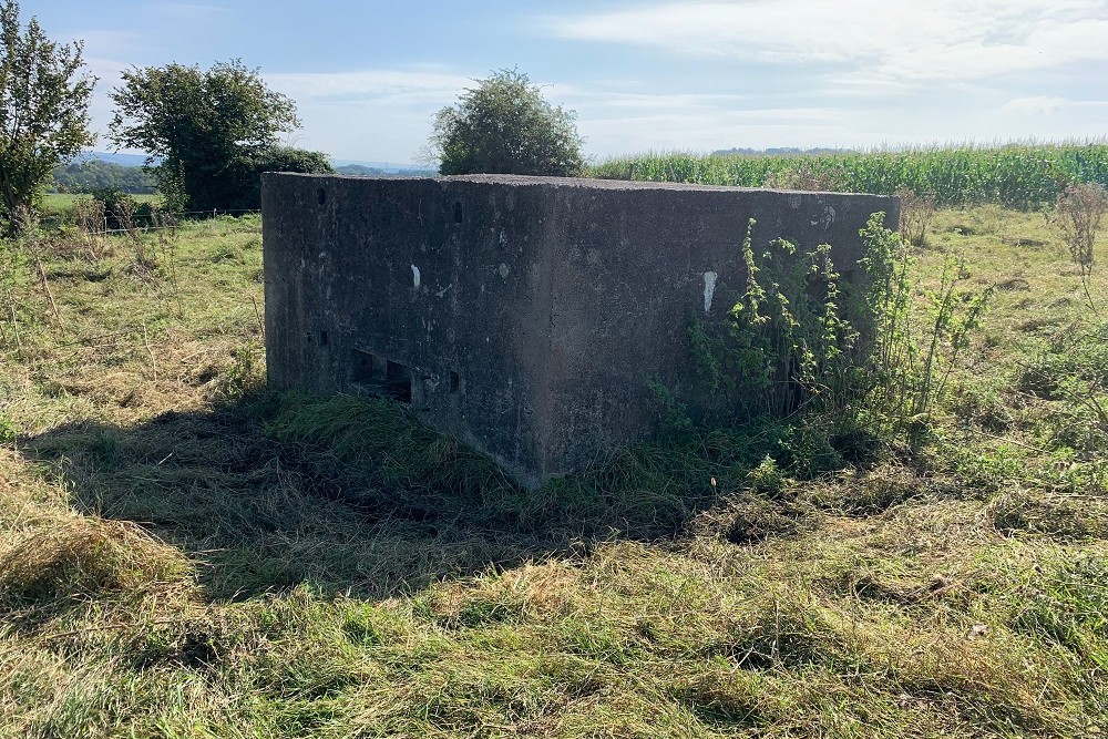 Bunker O - Position Avance Hombourg #2