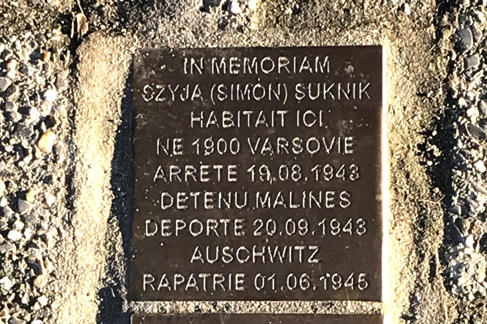 Stolpersteine Hoogstraat 208 #3