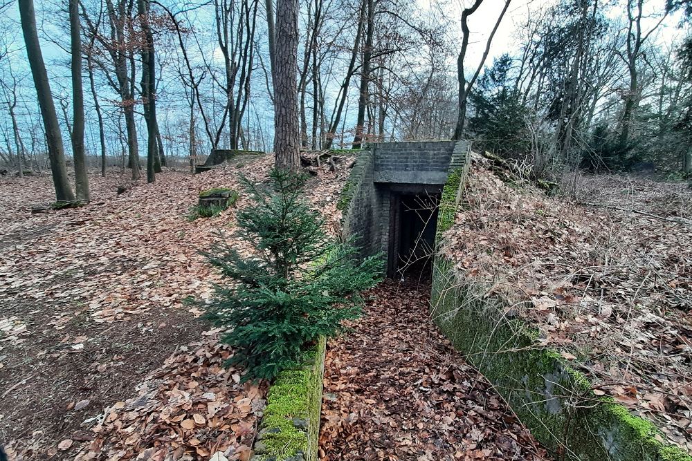 Ruin Villa Boschhoeve Wolfheze #4