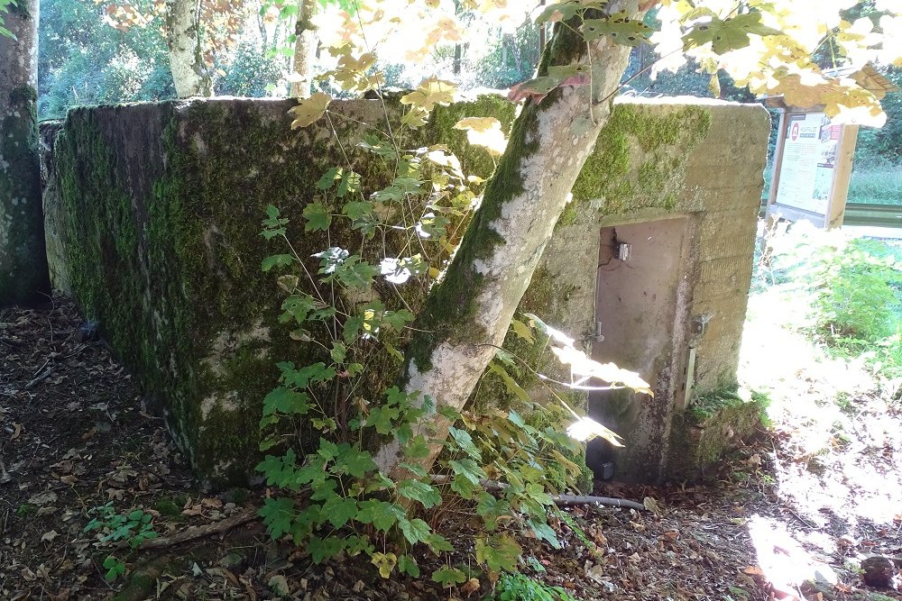 Belgian Pillbox Houffalize