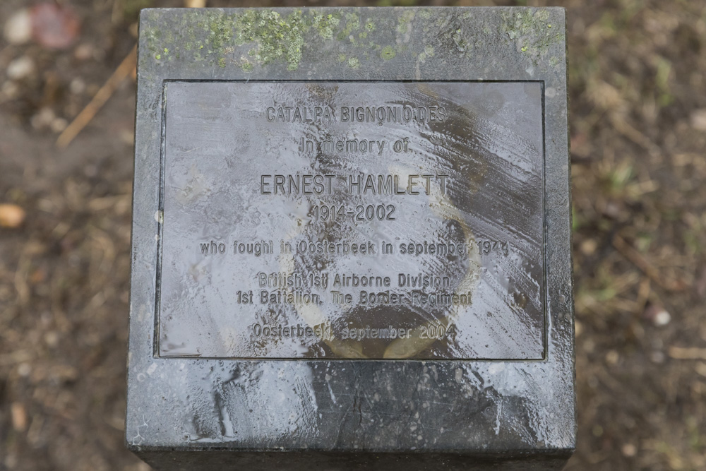 Herdenkingsboom Ernest Hamlett