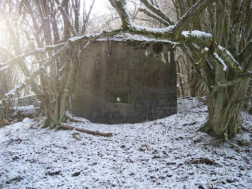 Westwall - Restant MG-bunker Oberemmel