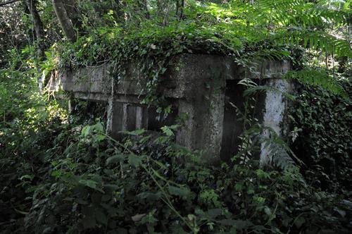 French Casemate