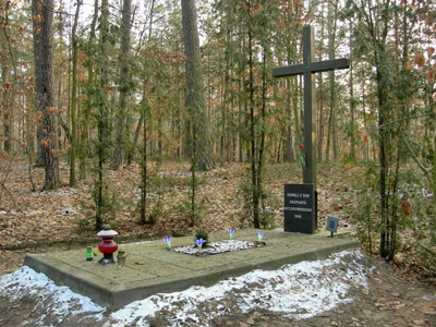 Cemetery Victims National Socialism 