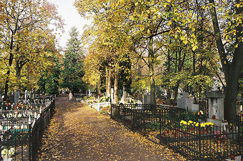 Cemetery sw. Jerzego