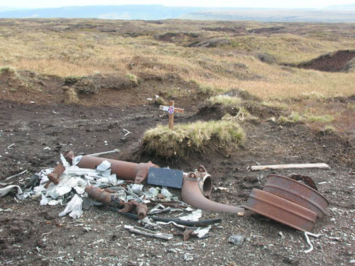 Crash Site & Wreckage B-24H Liberator Bomber Twizle Head Moss