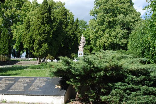 Soviet-Polish War Cemetery Myślibórz #2