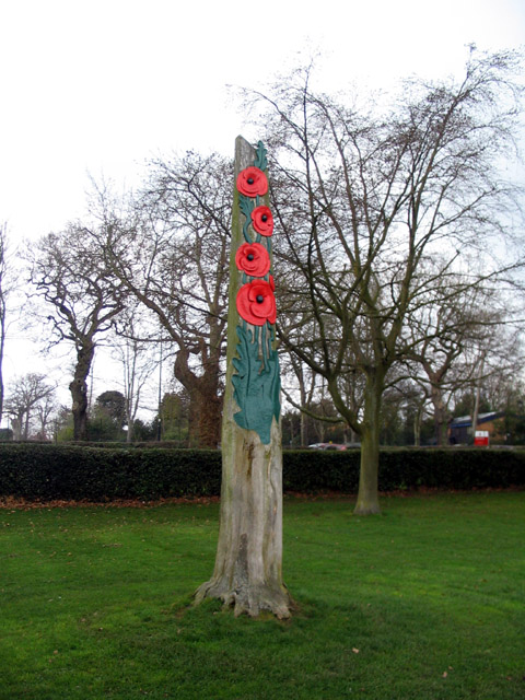 Poppies Tree Stump Coventry