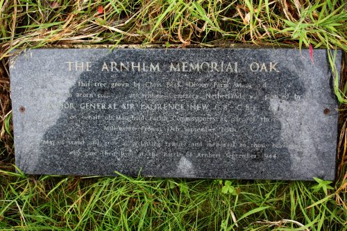 The Arnhem Memorial Oak